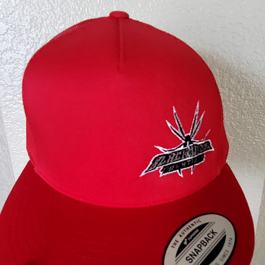 Red Snapback with embroidered logo